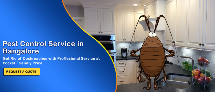 Smart Cleaning Service